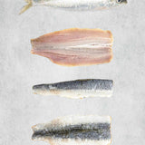 Fresh Sardines