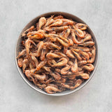 MSC Brown shrimps from Rockfish