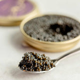 Baerii Sturgeon Caviar 30g