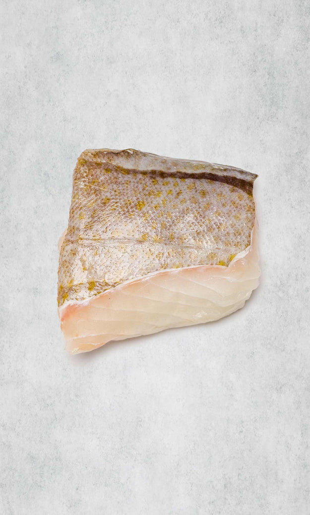 Fresh MSC cod - sustainable fresh fish delivered next day – Rockfish