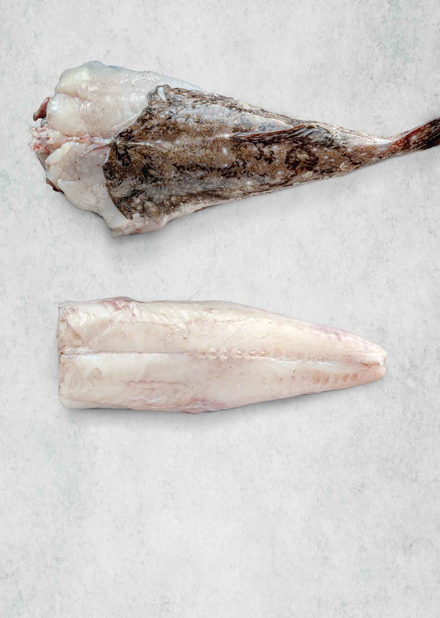 Monkfish whole tail for one prepared by Rockfish