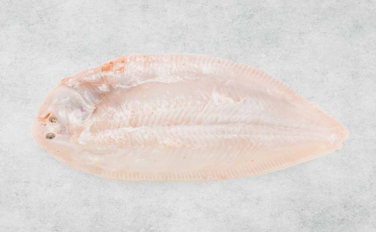 Rockfish Sand sole portion with skin removed - mobile