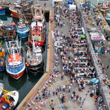 Sardine Festival Aerial view