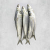 Fresh Brixham Sardines