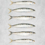 Fresh Brixham Sardines
