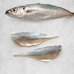 Two raw fish fillets of horse mackerel, including one whole horse mackerel sitting above it against a grey stone background.