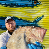 Market Pick - John Dory 1.3kg