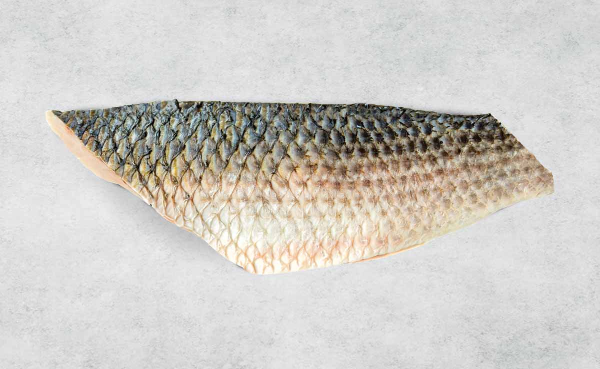 Fresh Silver Mullet fillet - mobile