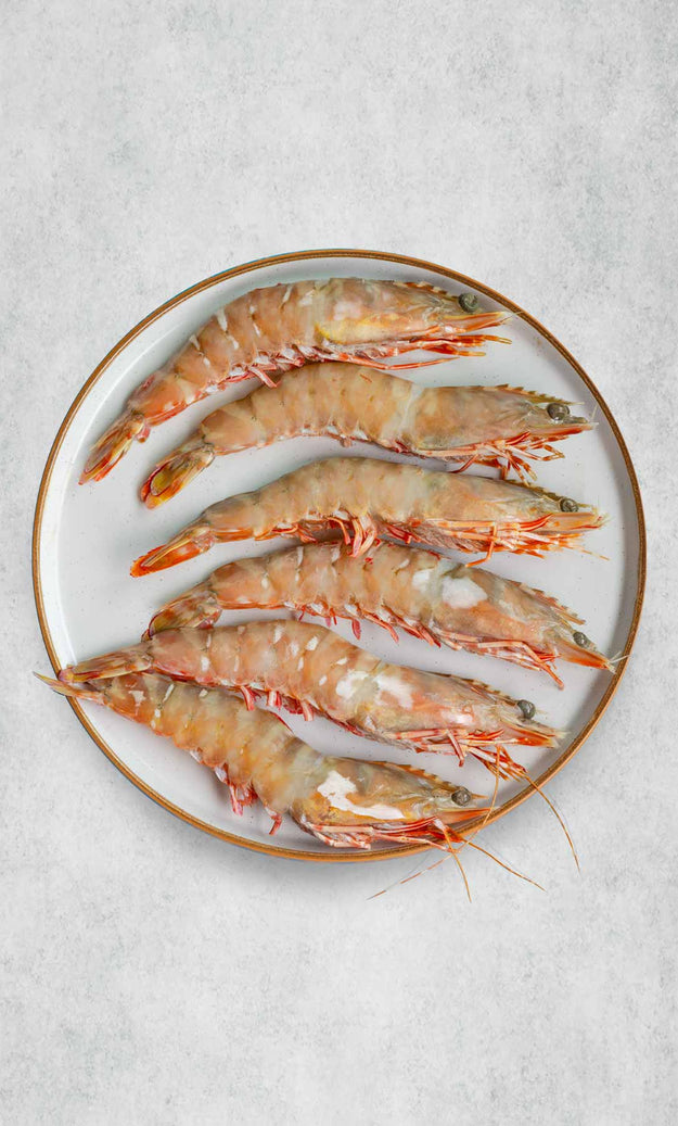 Skull Island Shell on Prawns - MSC – Rockfish