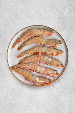 Skull Island Shell on Prawns - MSC