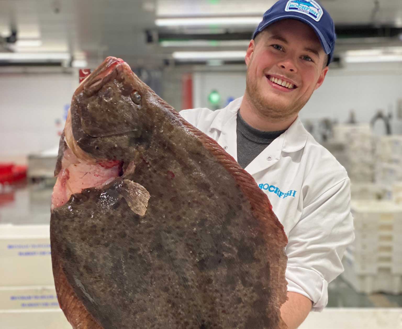 Rockfish quayside member of staff holding a large fish