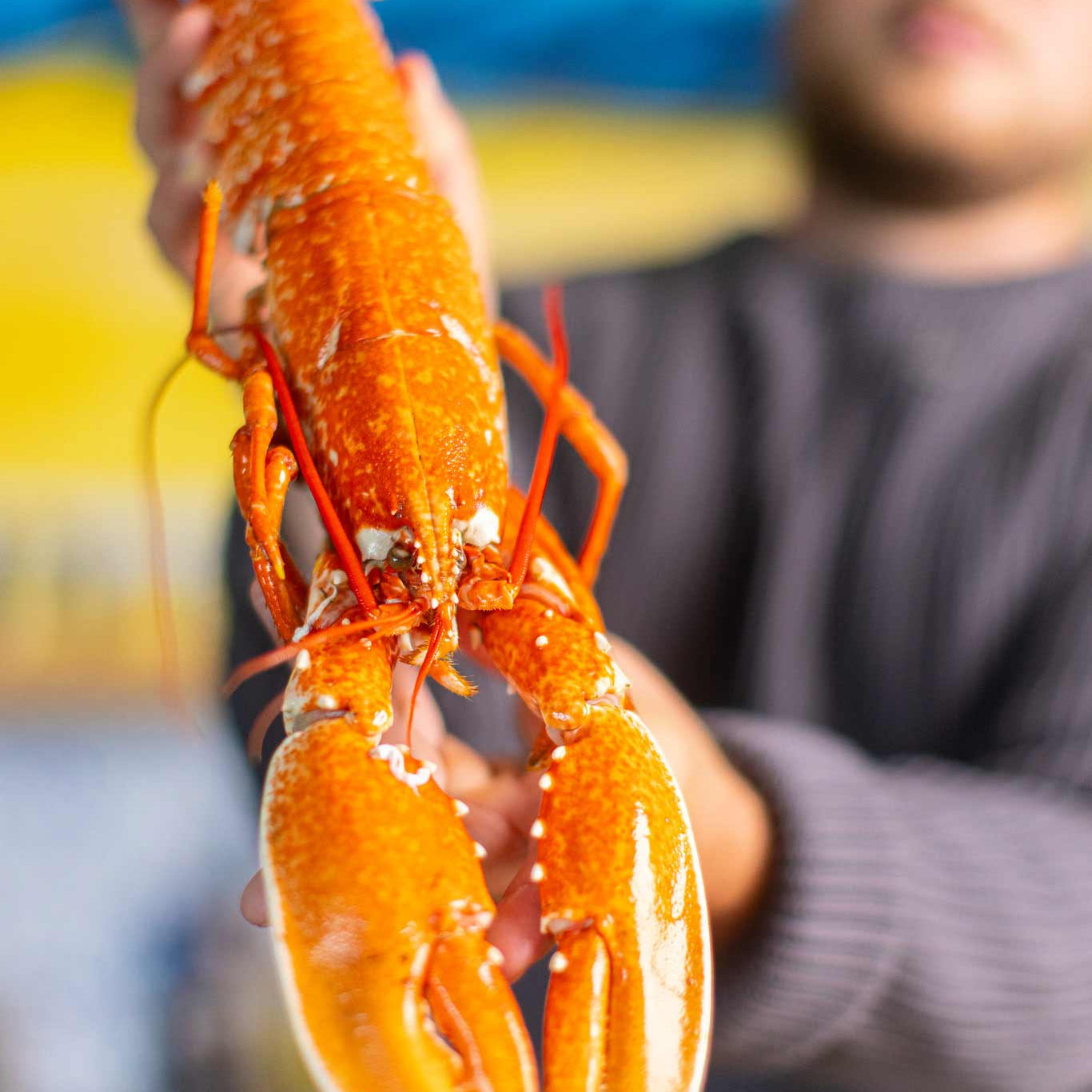 Tommy the fishmonger at Rockfish holding a cooked lobster 