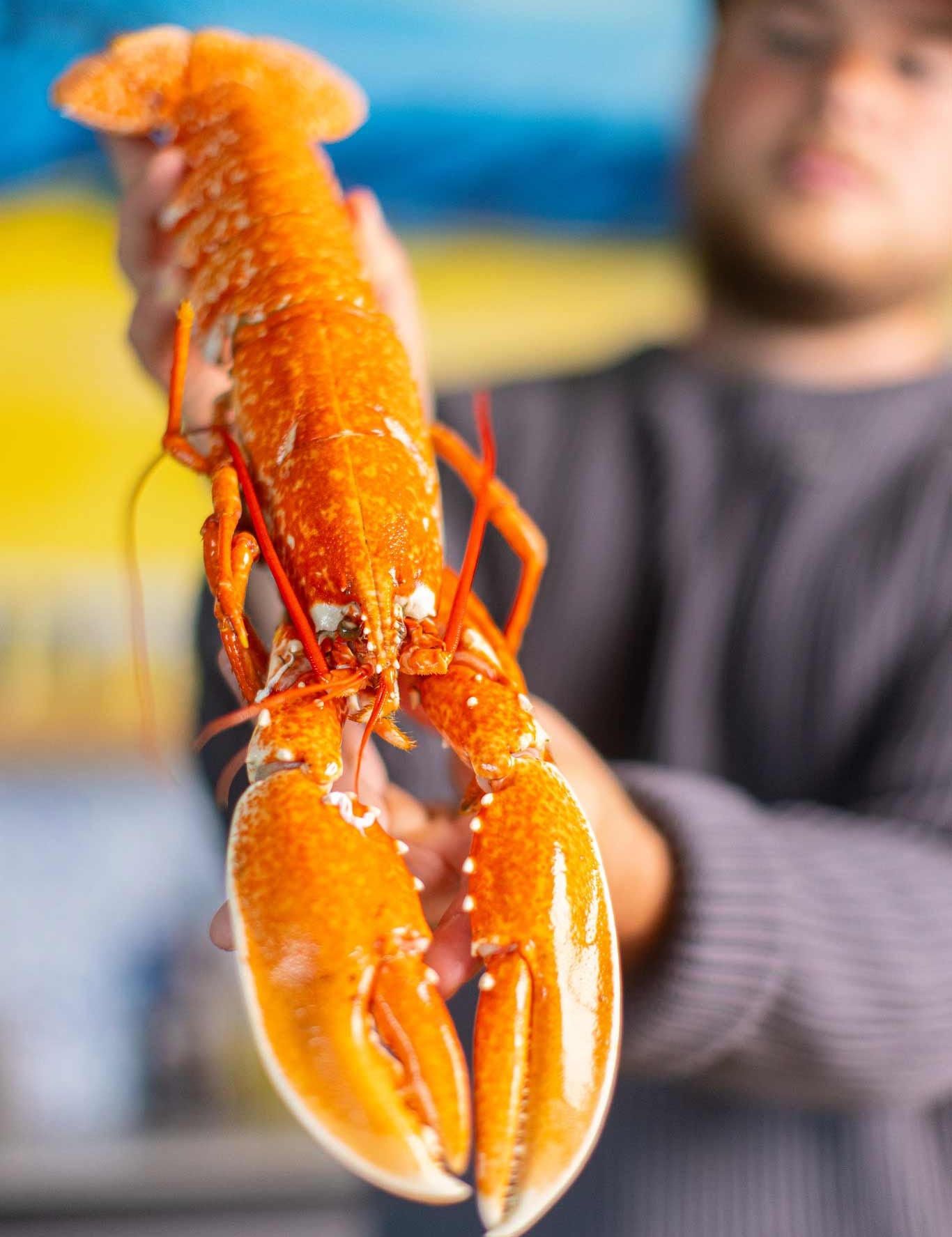 Tommy the fishmonger at Rockfish holding a cooked lobster 
