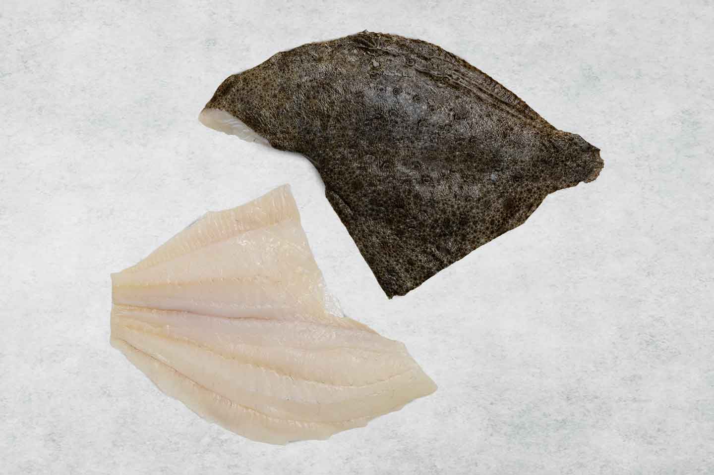 Turbot fillets with skin on by Rockfish