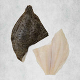 Turbot fillets with skin on by Rockfish