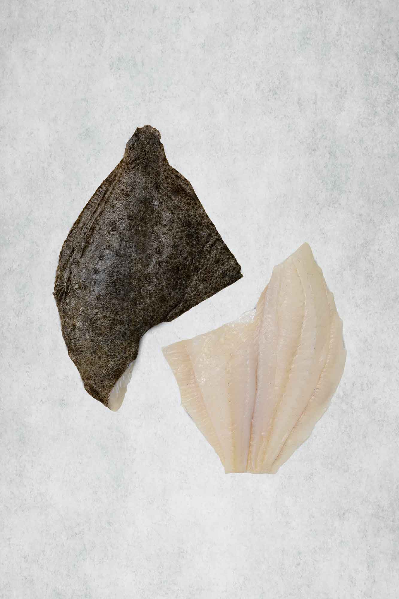 Turbot fillets with skin on by Rockfish