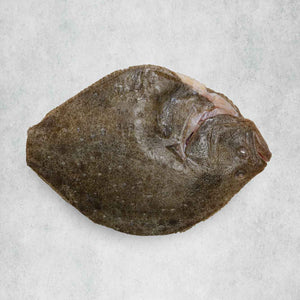 Whole Turbot for Two