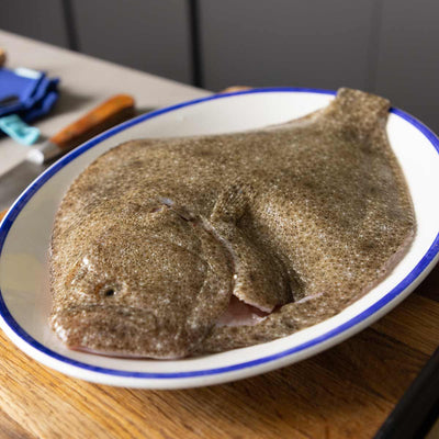Whole Turbot for Two - Frozen