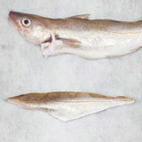 Frozen whiting fillet from Rockfish