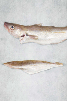 Frozen whiting fillet from Rockfish