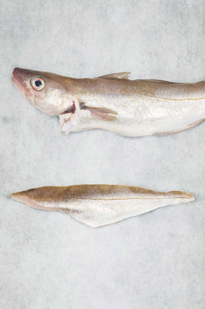 Whiting Fillet - Frozen