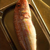 A whole red mullet on a baking tray