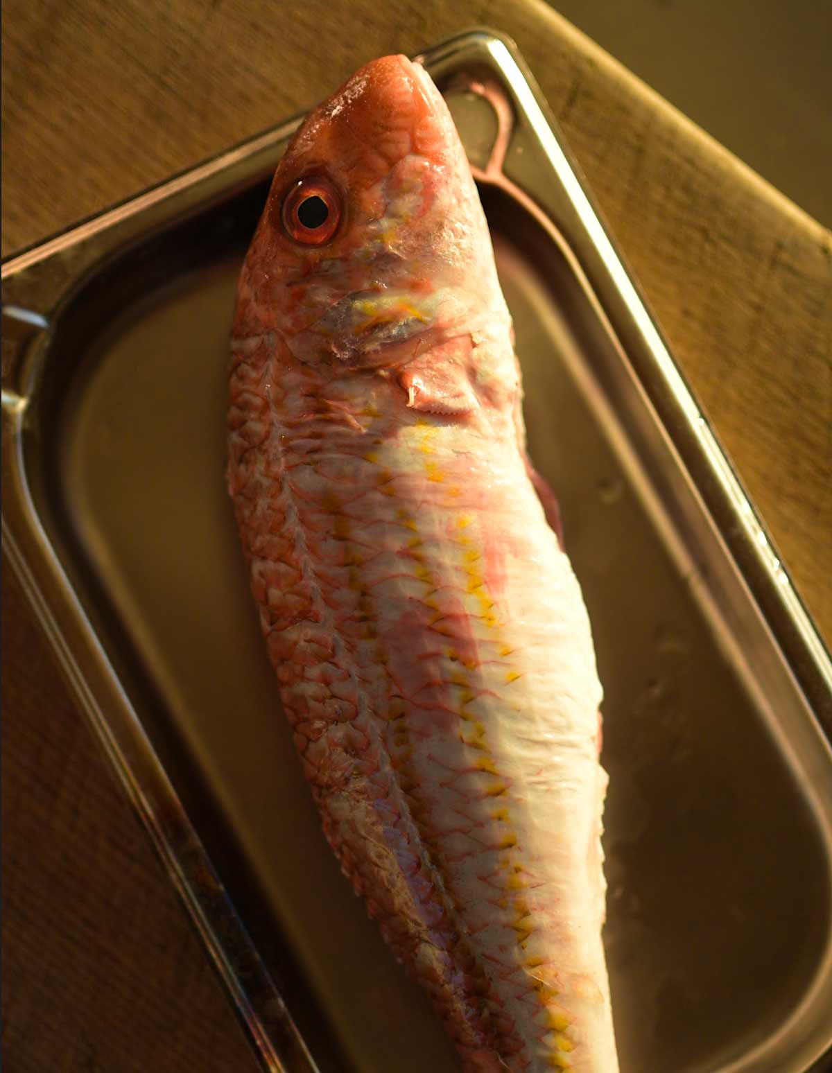 A whole red mullet on a baking tray