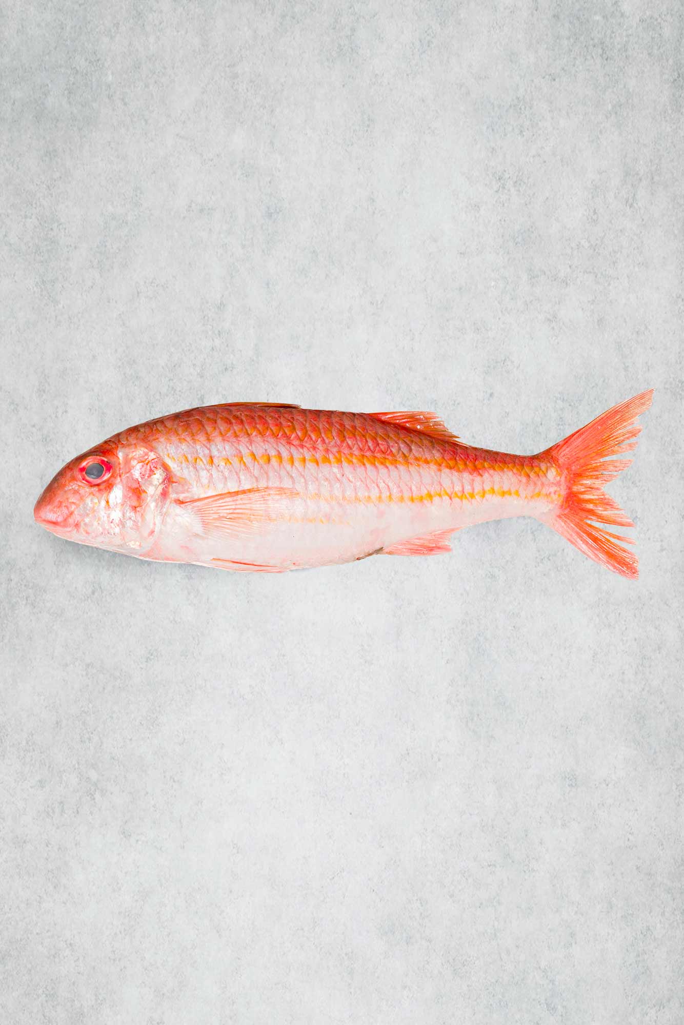 A whole red mullet for Rockfish Online Seafood Market