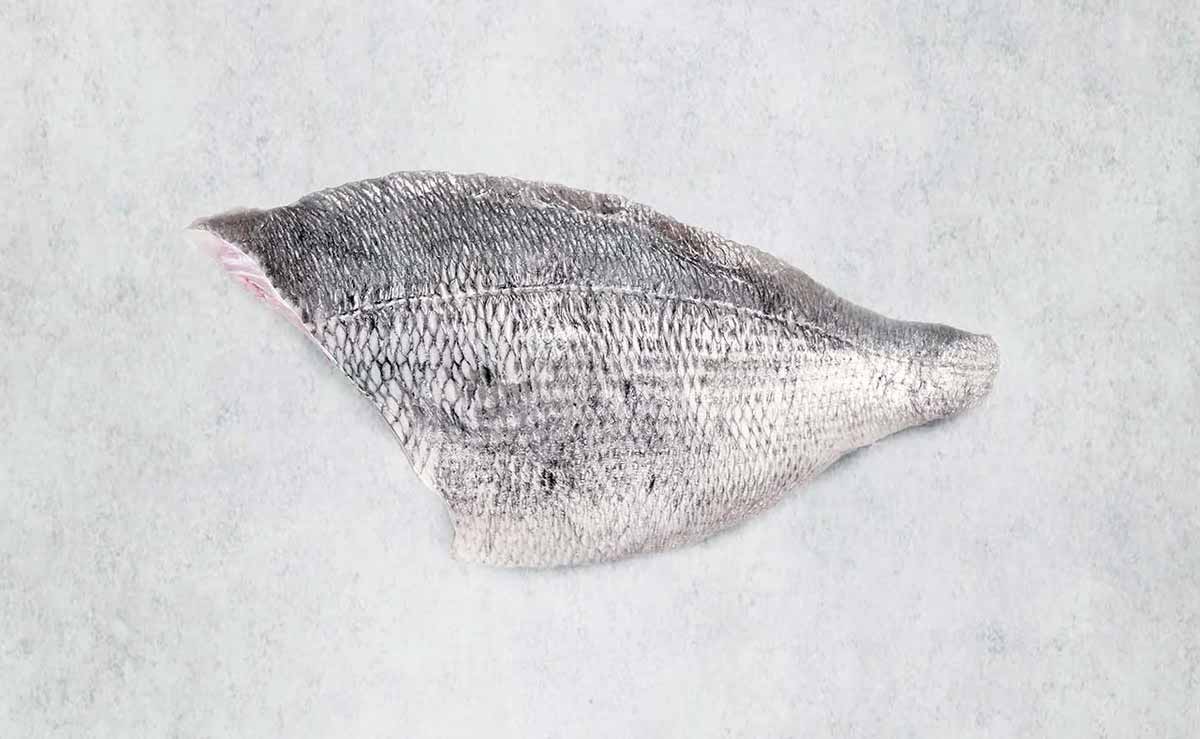 Black bream fillet - mobile