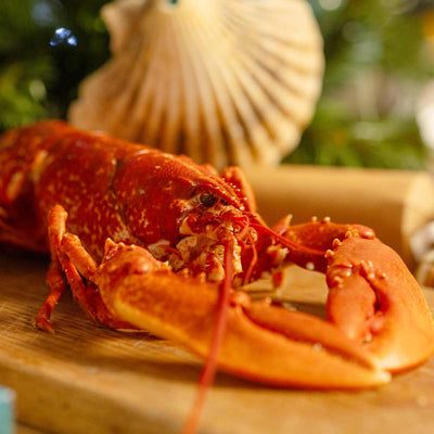 Whole Cooked Lobster - Frozen