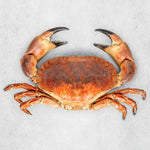 Whole cooked crab by Rockfish