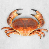 Whole cooked crab by Rockfish