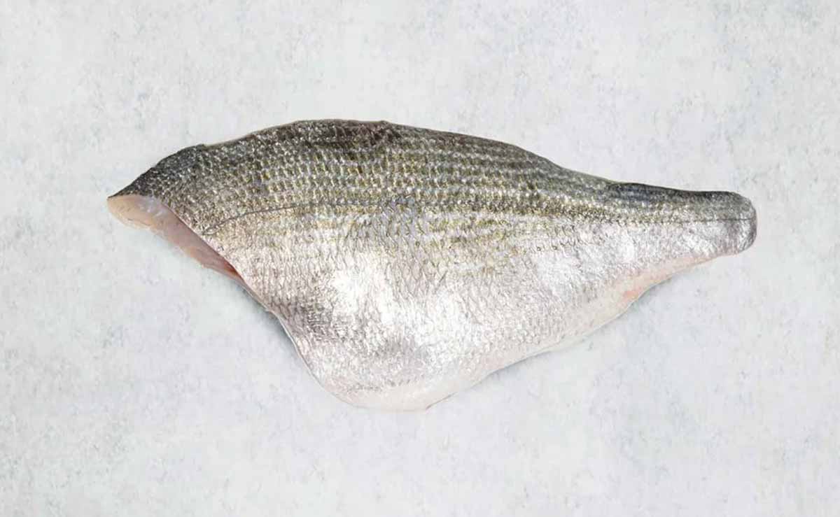 Gilt Bream fillet by Rockfish