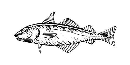 Haddock icon