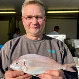 Market Pick - Couches Sea Bream 300g
