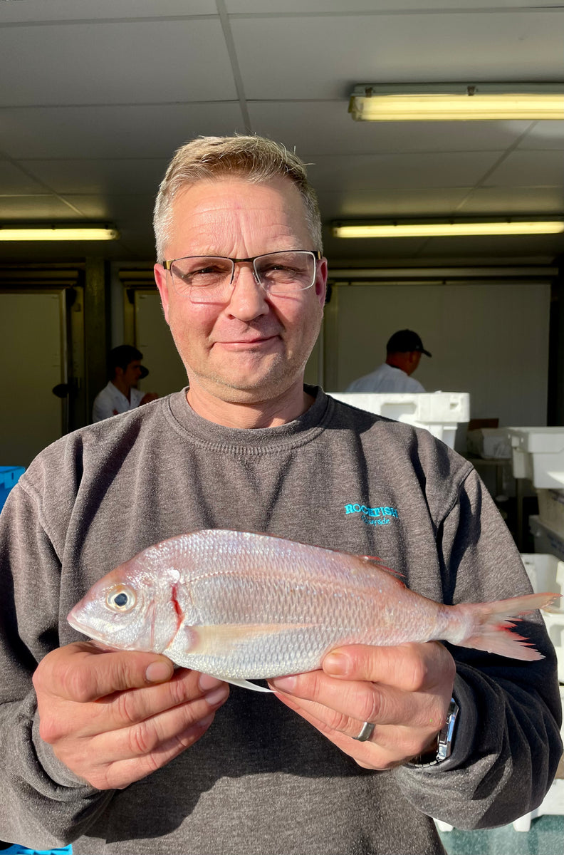 Wild Gilt Head Sea Bream Fillets Fresh sustainable fish delivered