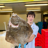 Market Pick - Turbot 3.1kg