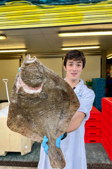 Mitch's Pick - Turbot 3.2kg