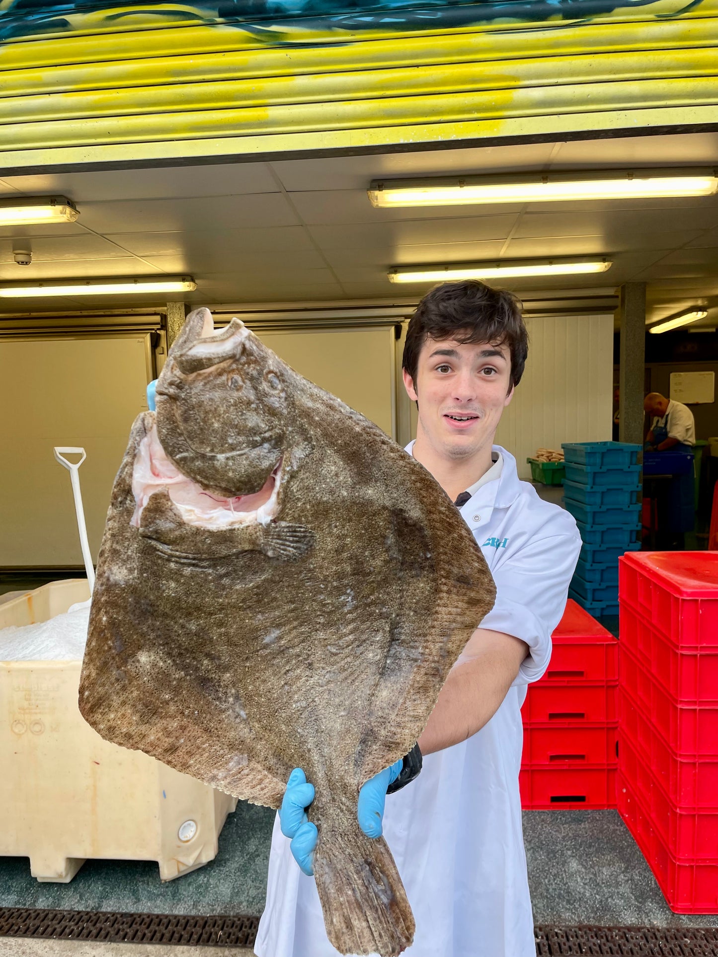 Mitch's Pick - Turbot 2.9 kg