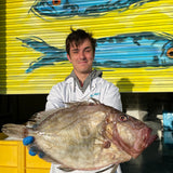 Market Pick - John Dory 1.1kg