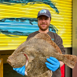 Market Pick - Turbot 2.4 kg