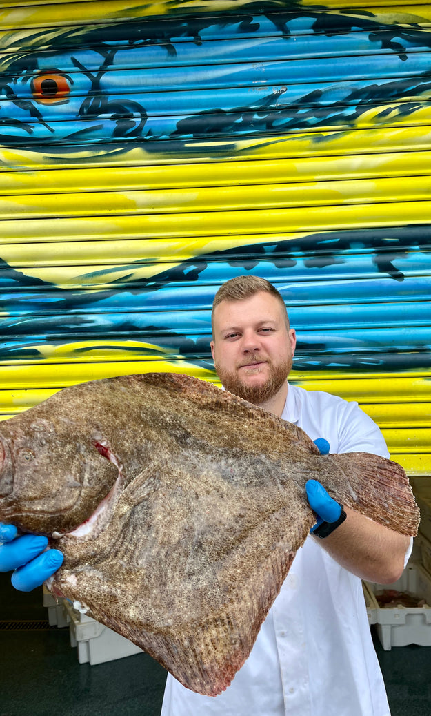 Mitch's Pick - Turbot 2.2 kg