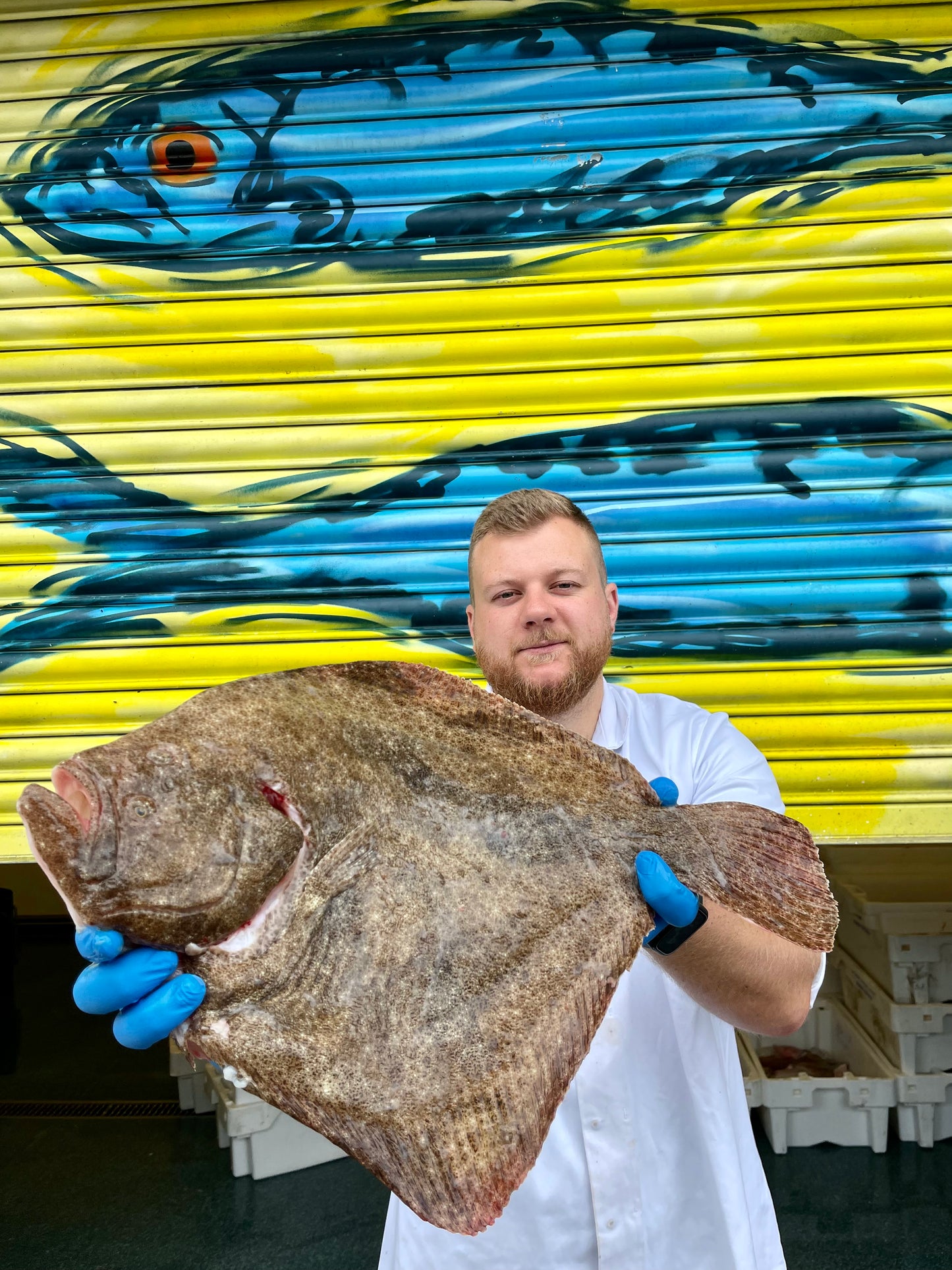 Mitch's Pick - Turbot 2.2 kg