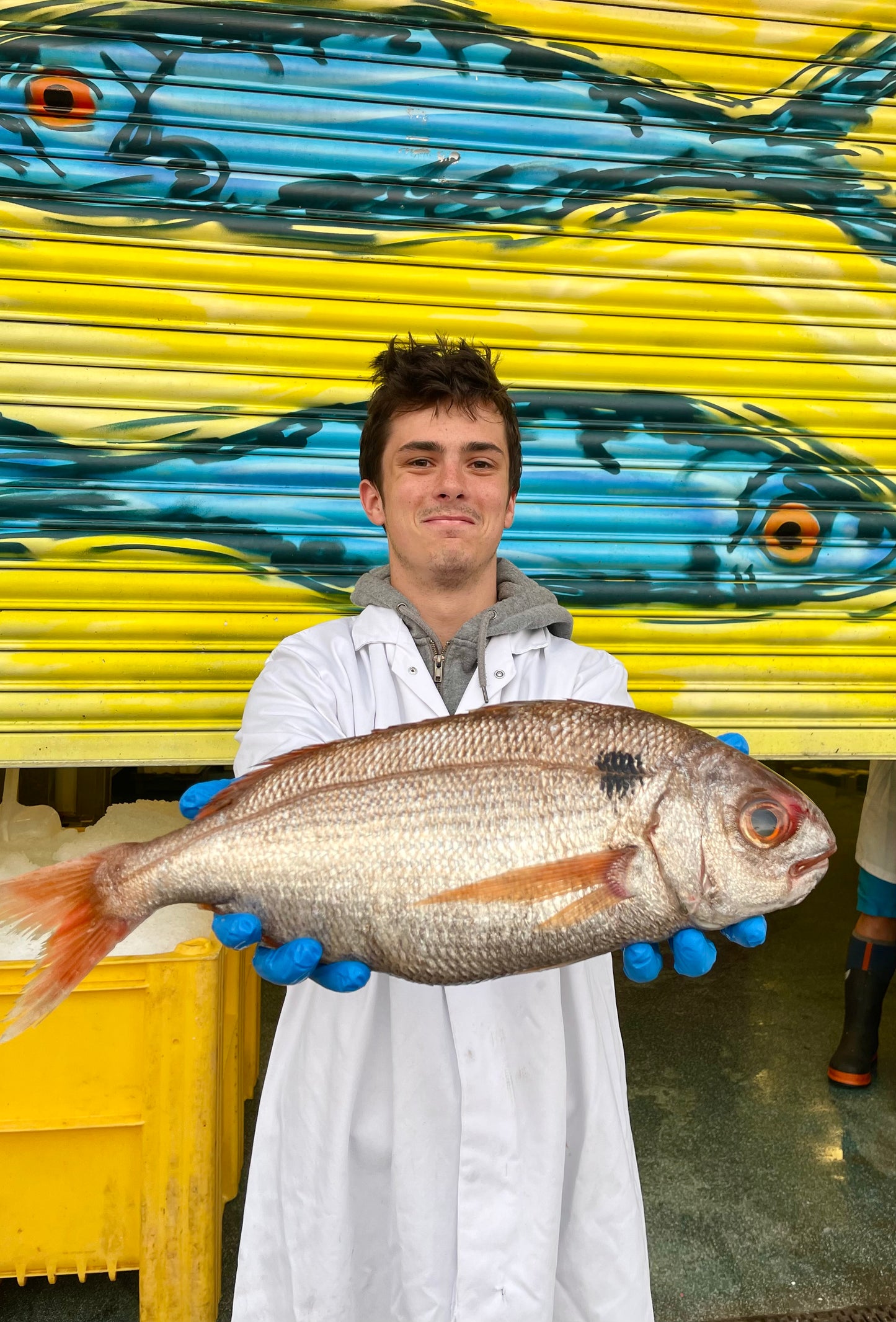 Mitch's Pick - Blackspot Bream 1.8kg