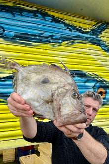 Mitch's Pick - John Dory 1.2kg