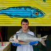 Market Pick - Wild Gilt Head Bream 1.2kg