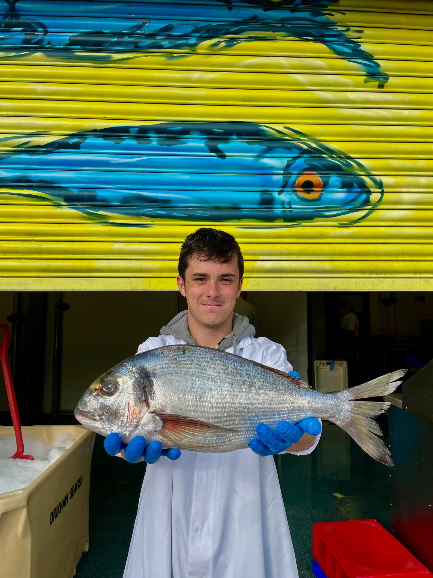 Mitch's Pick - Wild Gilt Head Bream 1.2kg