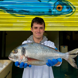 Large Bream from Rockfish