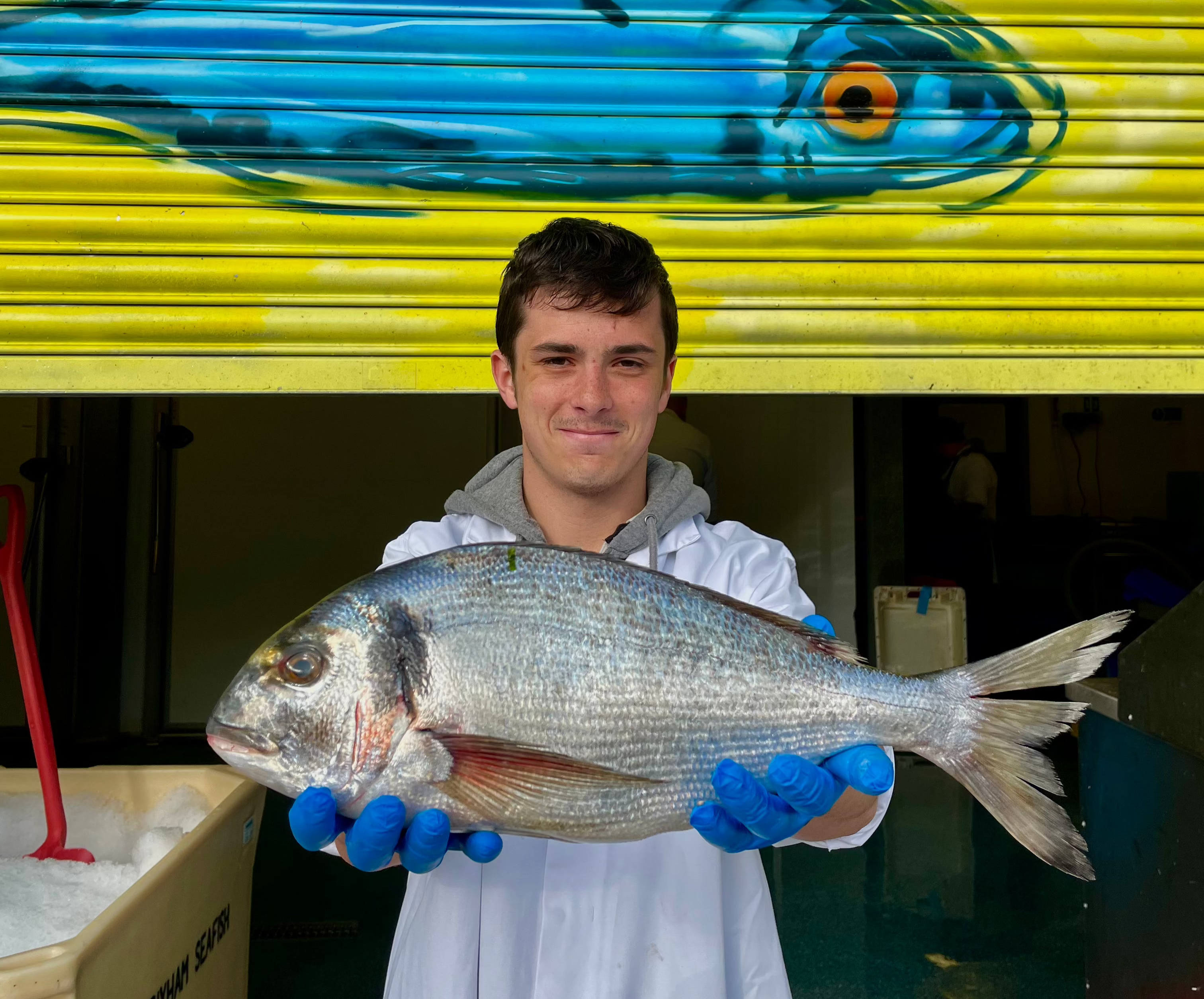 Large Bream from Rockfish