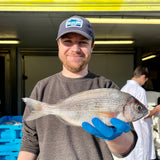 Market Pick - Black Bream